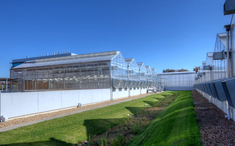 DDPSC Greenhouse B Expansion | K&S Associates, Inc.